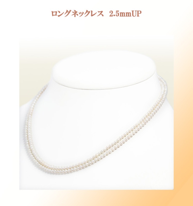 �٥ӡ��ѡ���ͥå��쥹