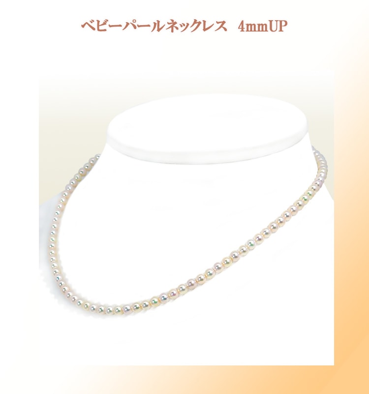 �٥ӡ��ѡ���ͥå��쥹