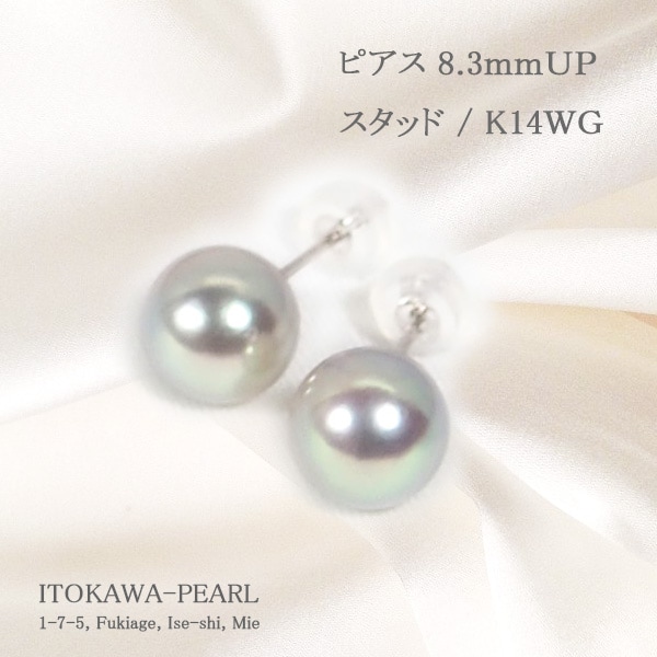 タヒチパール グレー系 K14WG 11mm スタッド ピアス