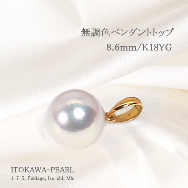 �ڥ����ȥȥå�