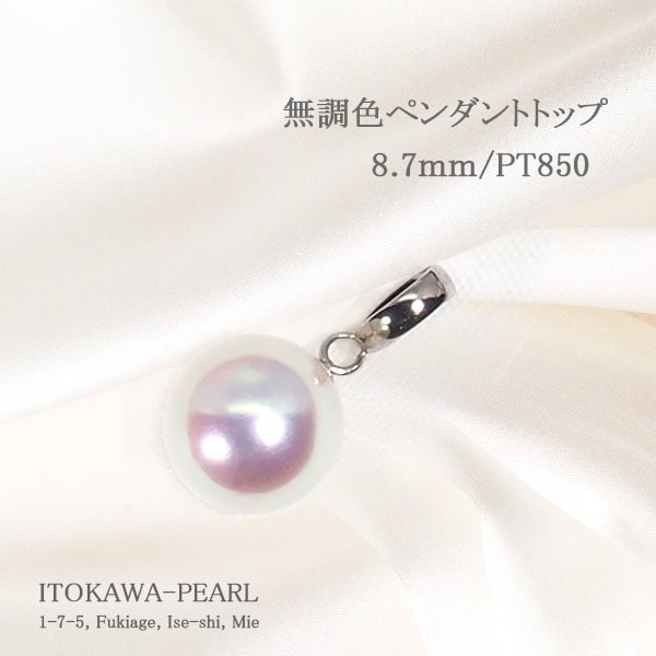 �ڥ����ȥȥå�