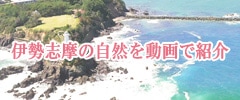 伊勢志摩紹介動画