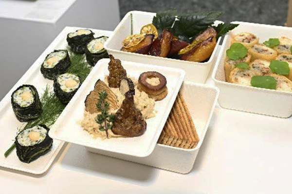 バルサラご購入ページ WASARA casanet L 本体・蓋セット （50枚入） | WASARA（ワサラ