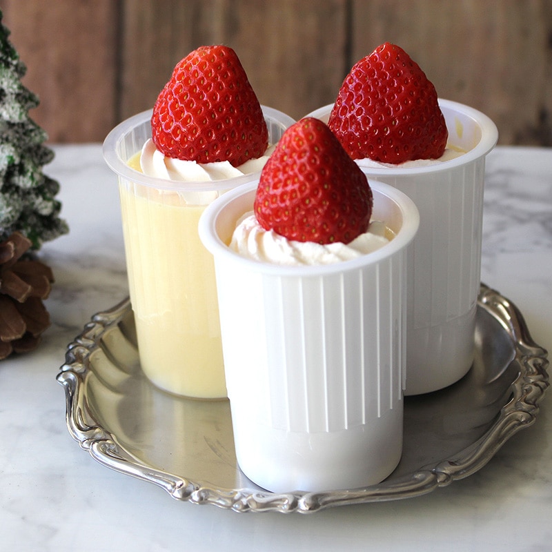 IK55-110 コッホ PP 白 