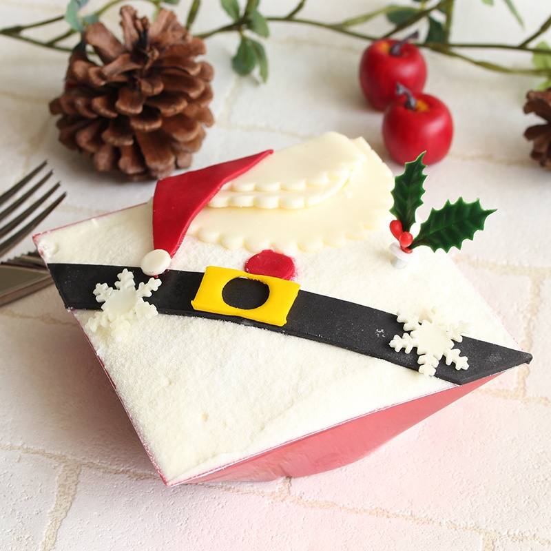 IK-S-110 ローズレッド