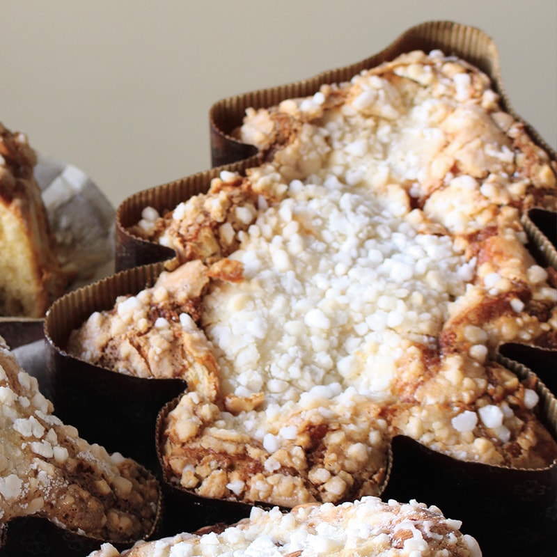 NOVACART ツリーシェイプ 大