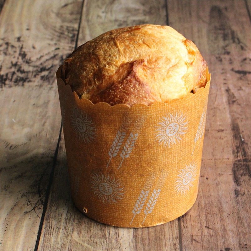 パネトーネカップ K-2 中 