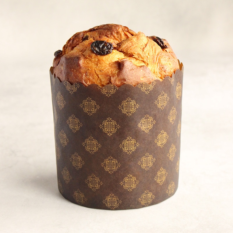 パネトーネカップ K-2 中 イタリー