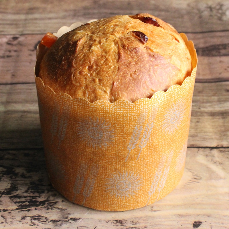 パネトーネカップ K-1 大