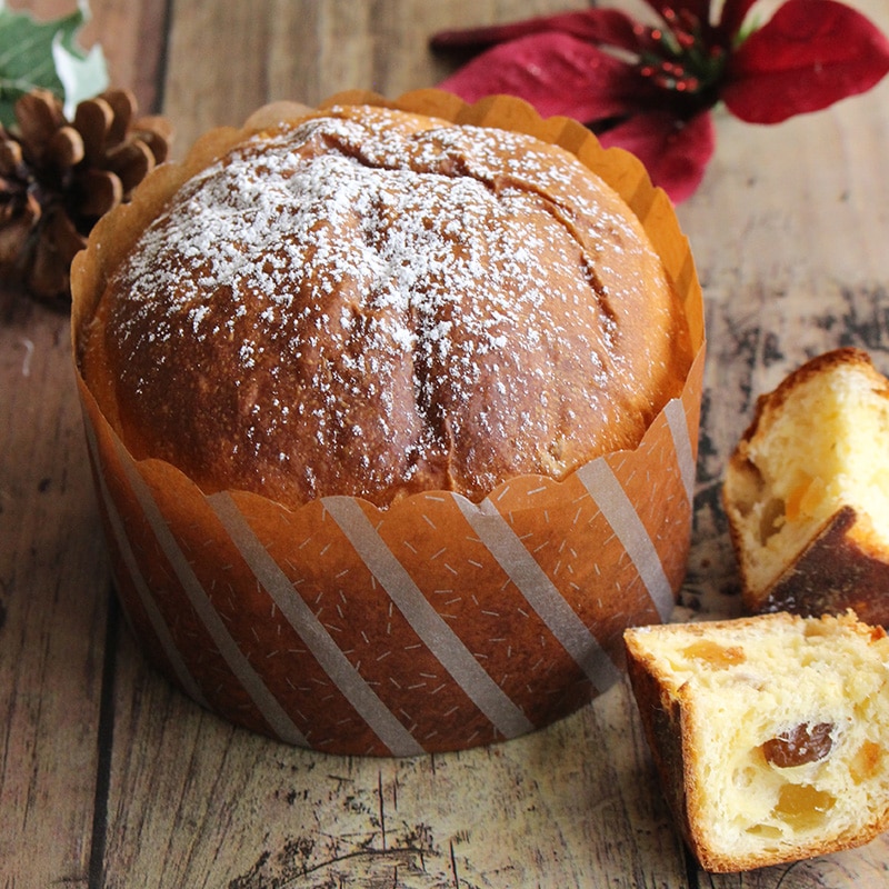 パネトーネカップ K-1 60S 小