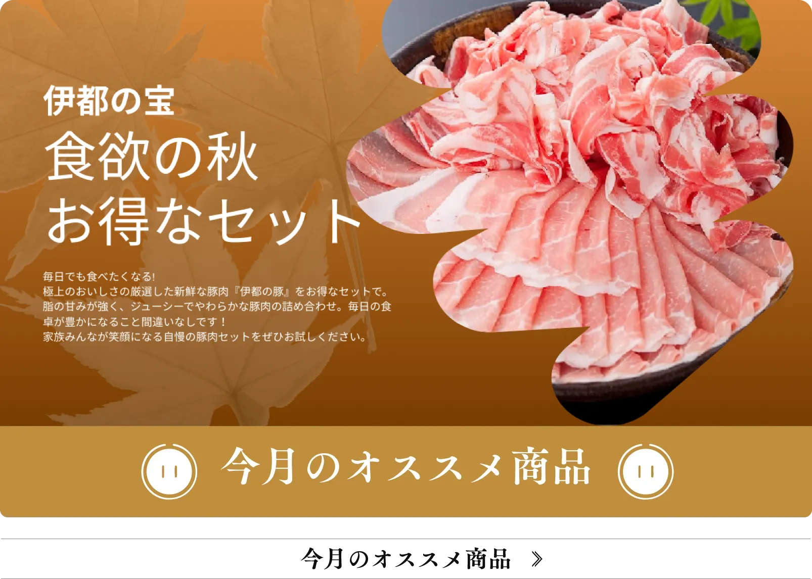 今月のオススメ商品