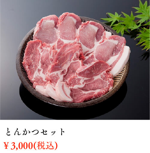 とんかつセット