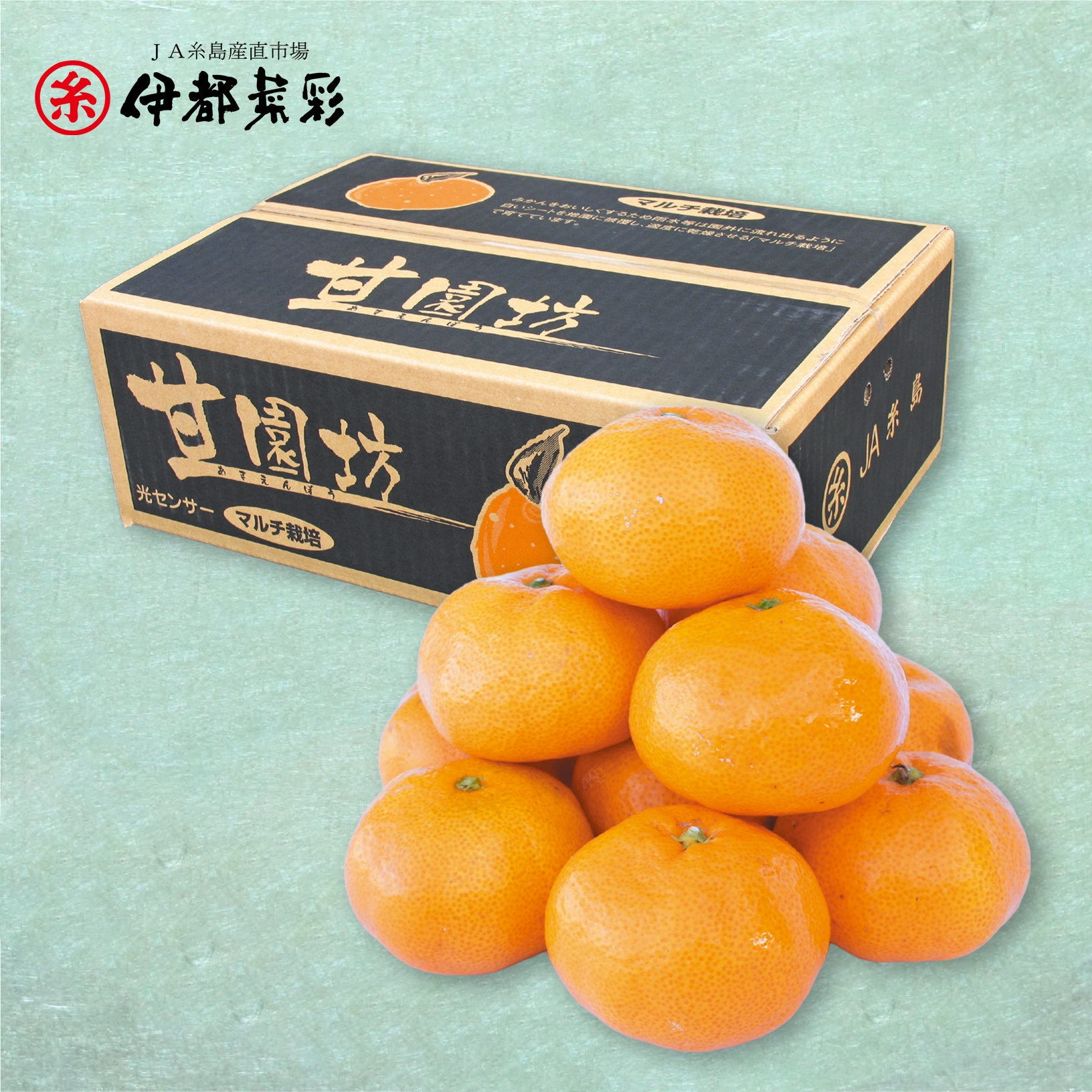 説明画像1