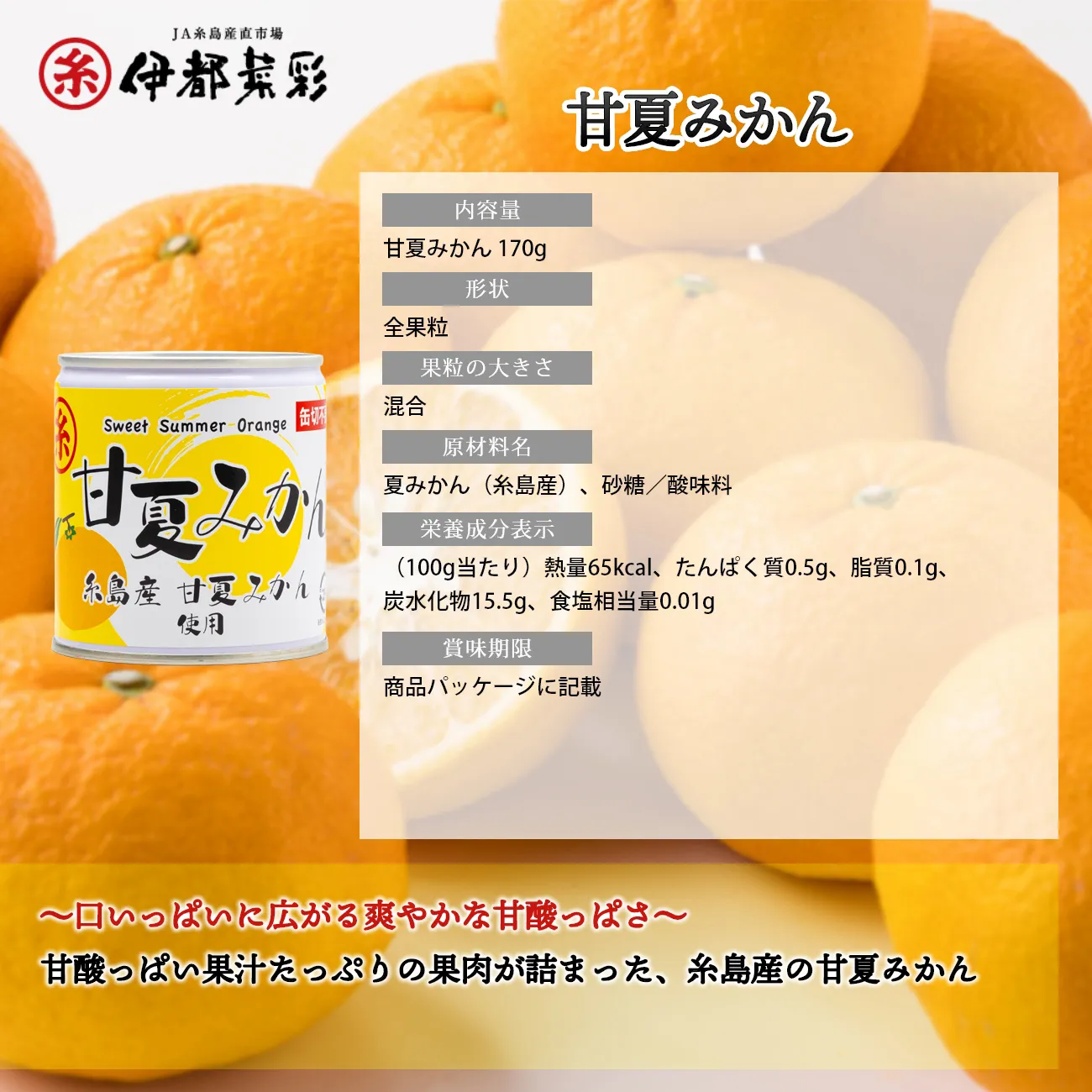 説明画像1