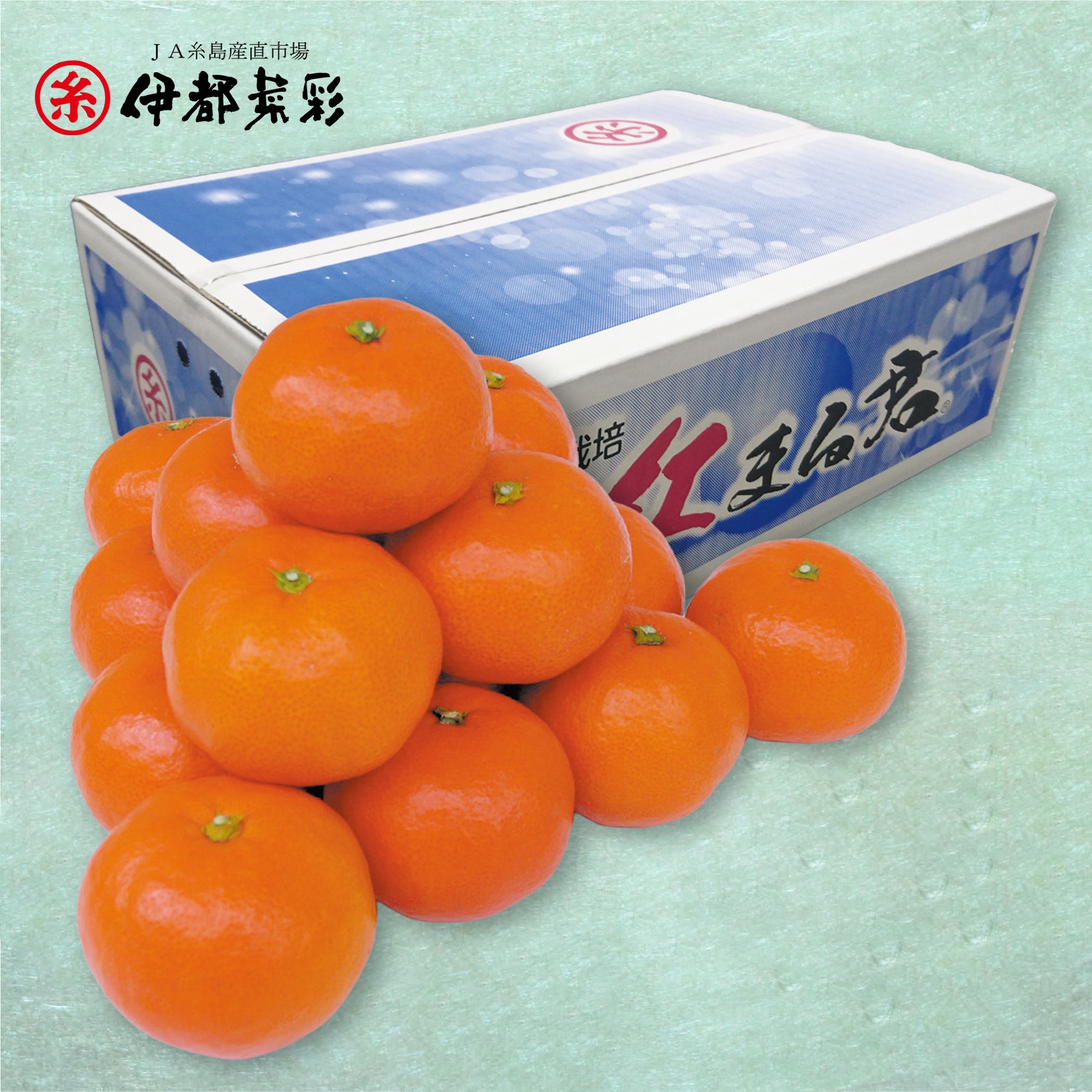 説明画像1