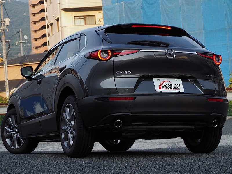 CX-30 リアガーニッシュ 鏡面仕上げ 2P