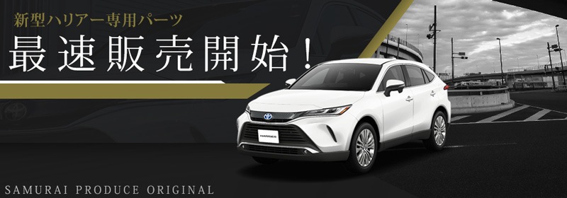 ϥꥢ 80   ˥å ̻ž夲 2P