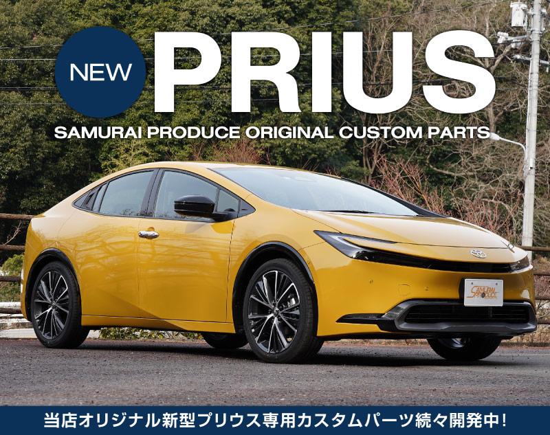 プリウス 20系  Prius 専用 サイドガーニッシュ【B7a】