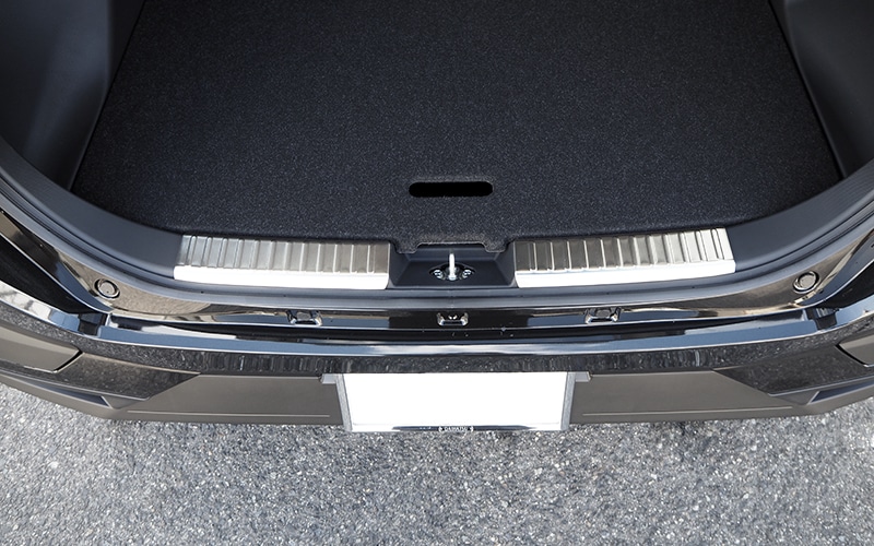 RAIZE(�饤��) �饲�å������åեץ졼��2P