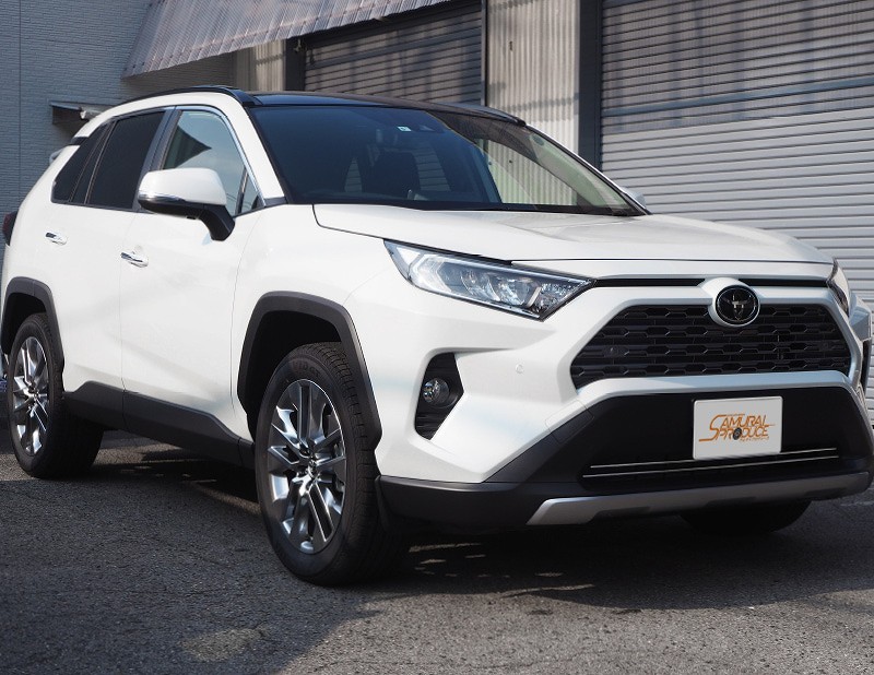 RAV4 50系 RAV4 PHV ロアグリルガーニッシュ 鏡面仕上げ 2P