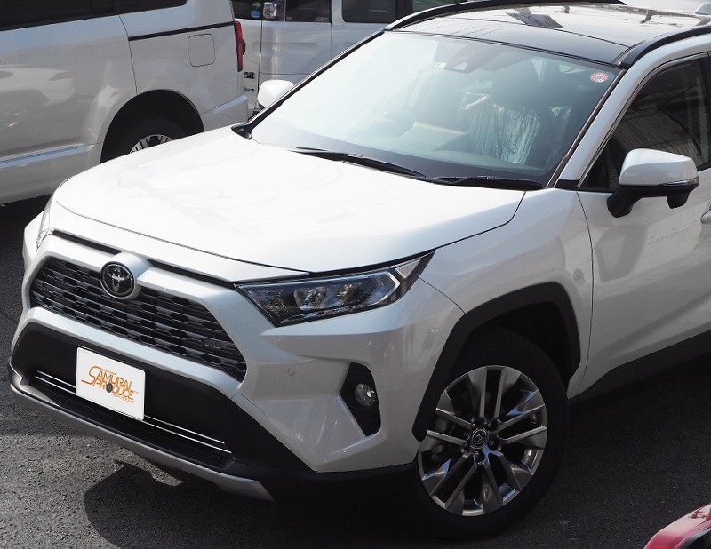 RAV4 ラブ4 カスタム ロアグリルガーニッシュ 鏡面仕上げ