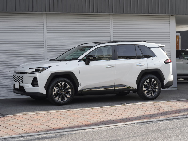 新型RAV4 60系 ウィンドウトリムガーニッシュ ＆ アウタードアハンドルカバー ＆ サイドガーニッシュ 3点セット