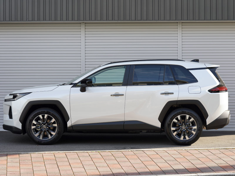 新型RAV4 60系 ウィンドウトリムガーニッシュ ＆ アウタードアハンドルカバー