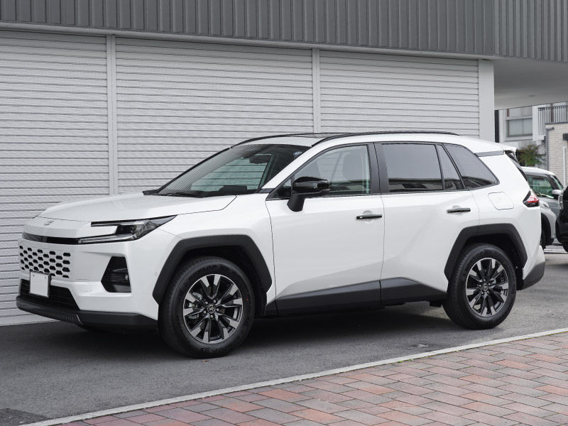 新型RAV4 60系 ウィンドウトリムガーニッシュ ＆ アウタードアハンドルカバー