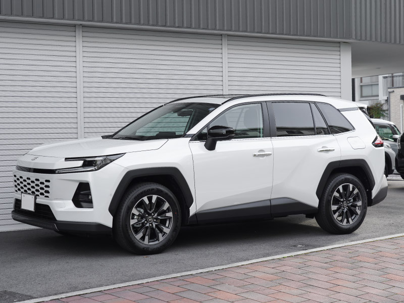 新型RAV4 60系 ウィンドウトリムガーニッシュ ＆ アウタードアハンドルカバー
