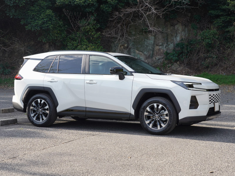 新型RAV4 60系 ウィンドウトリムガーニッシュ ＆ サイドガーニッシュ