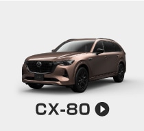 cx80