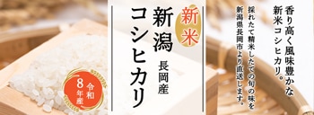 できたておせんべい！岩塚ネットショップ |