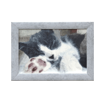 ねこかぞく 愛猫のグッズが簡単に作れる