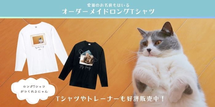 ねこにまたたび？「またたび」の使い方や注意点 - ねこかぞくブログ