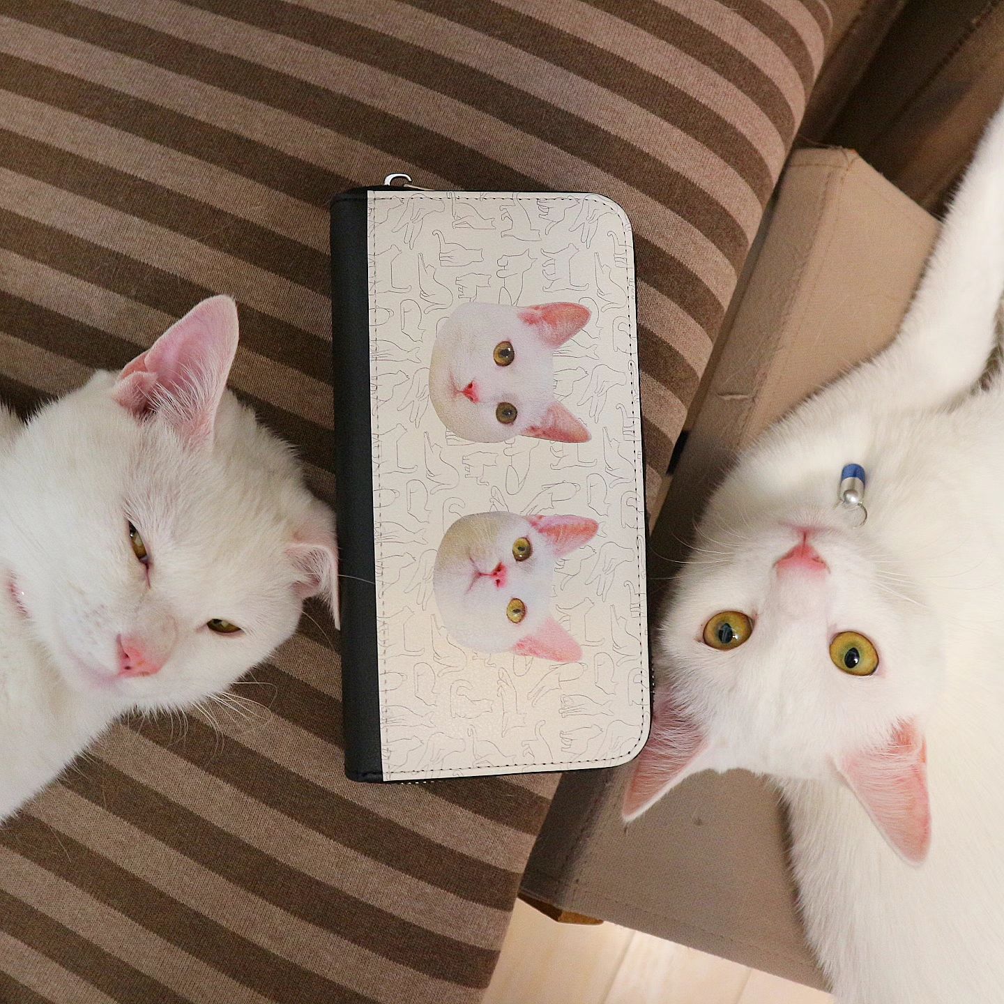 愛猫のオリジナルグッズが簡単に作れる、「ねこかぞく」へようこそ！
