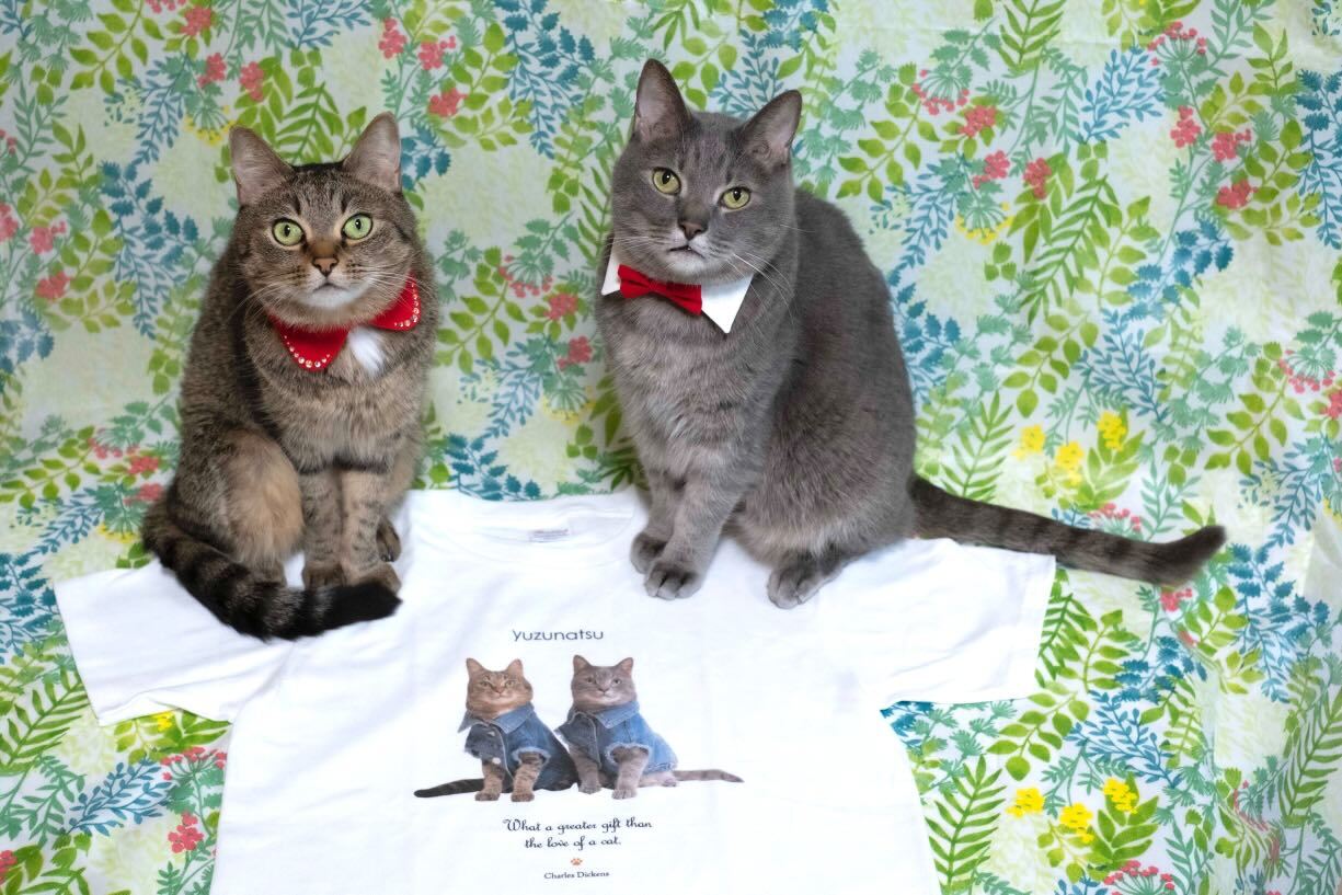 愛猫のオリジナルグッズが簡単に作れる、「ねこかぞく」へようこそ！