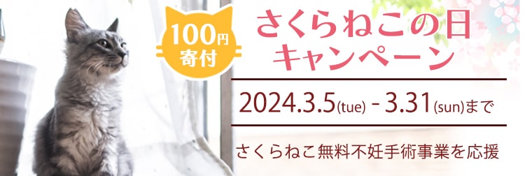 ねこかぞく ｜ 愛猫のオリジナルグッズが簡単に作れる