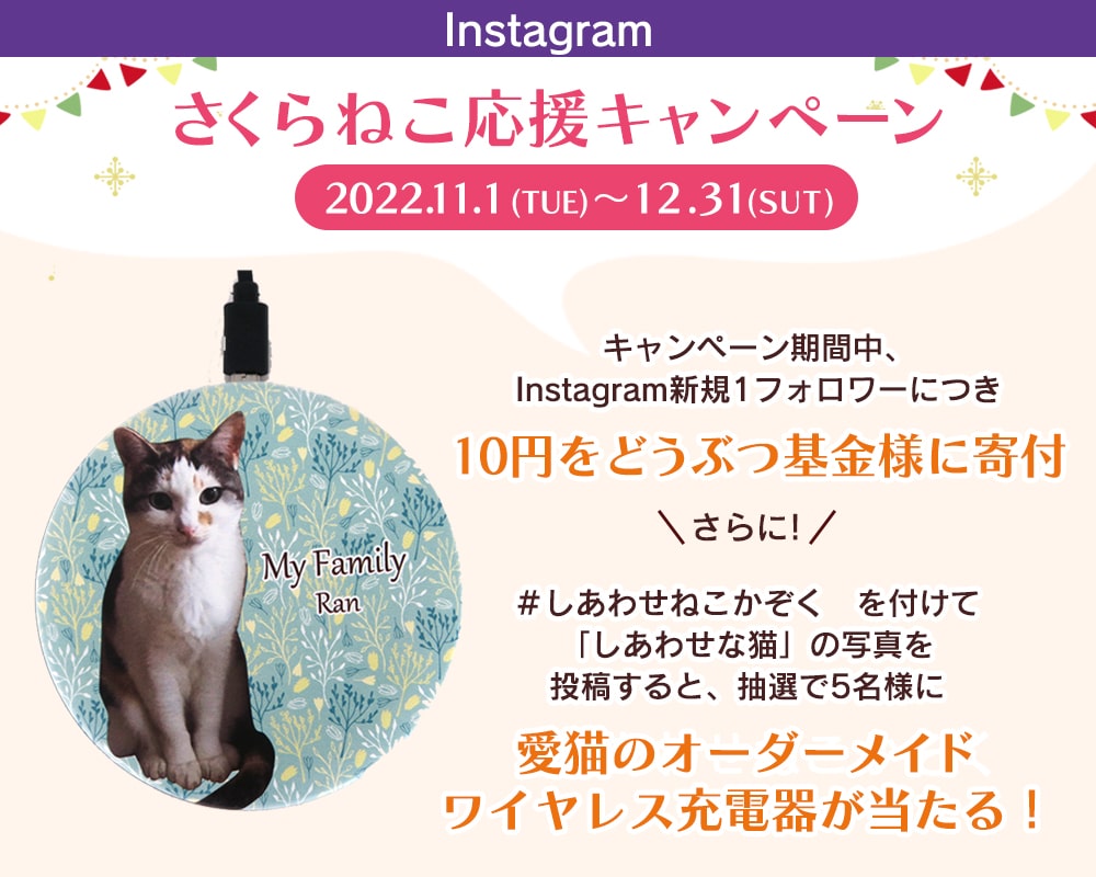 特典進呈感謝価格(‗- ·̫ -‗^)ꪆ ❤︎ふわり幸せさくら猫ちゃん l8vHq