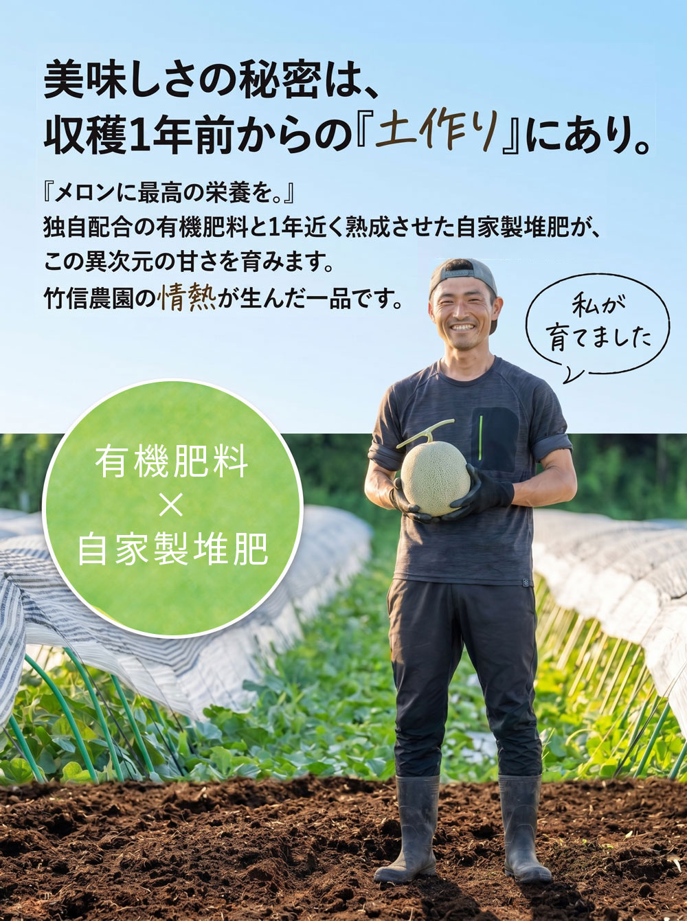 ペルルメロン
