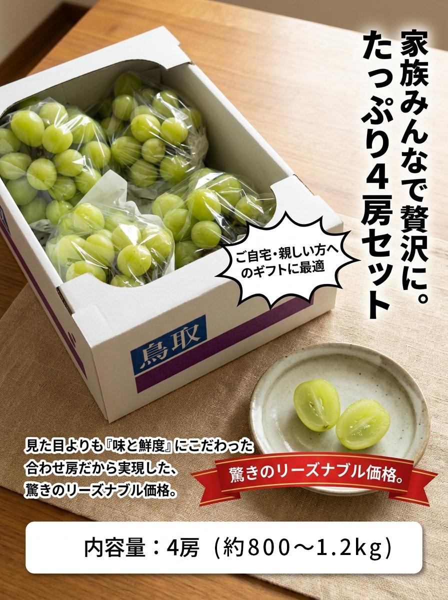 岡垣農園　鳥取産シャインマスカット 4房