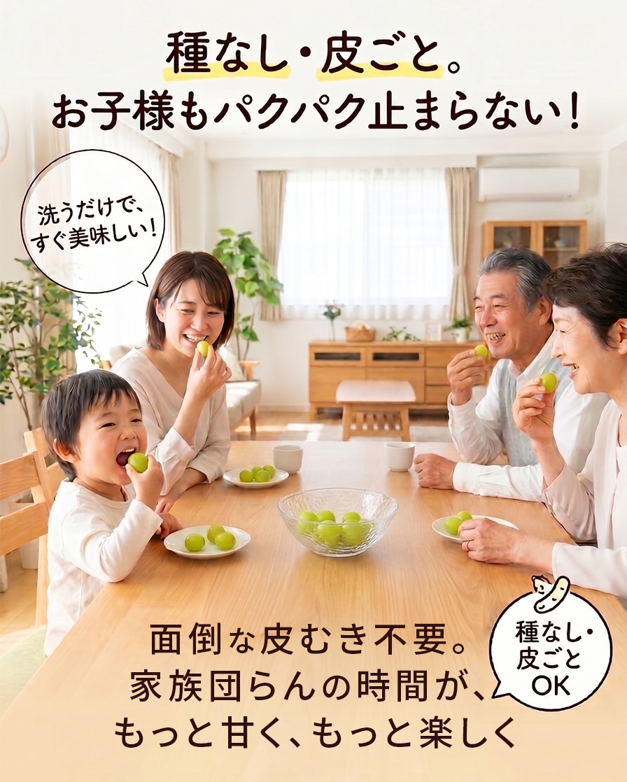 岡垣農園　鳥取産シャインマスカット 4房