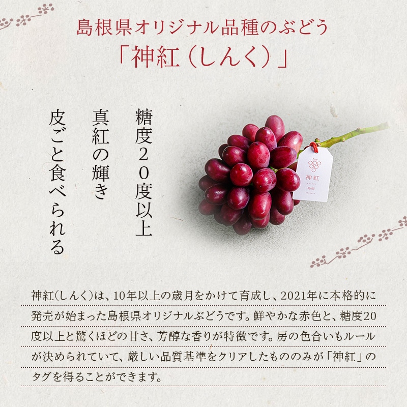 Dry fruit 神紅 ×10袋 ドライフルーツ 島根県産 ぶどう