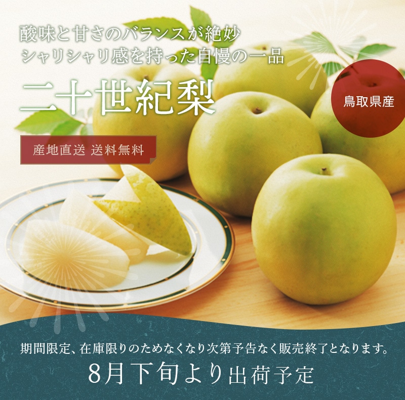 岡垣農園 鳥取県産 二十世紀梨 3kg ギフト用