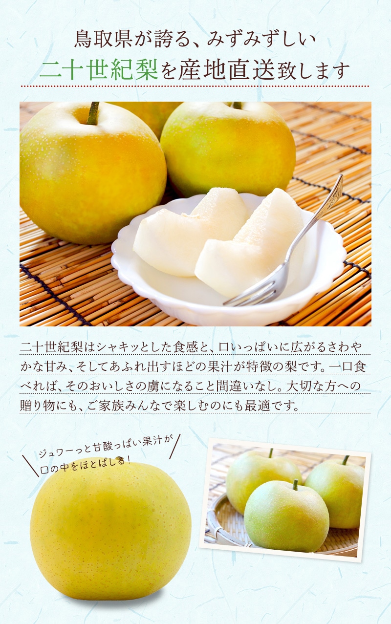 岡垣農園 鳥取県産 二十世紀梨 3kg ギフト用