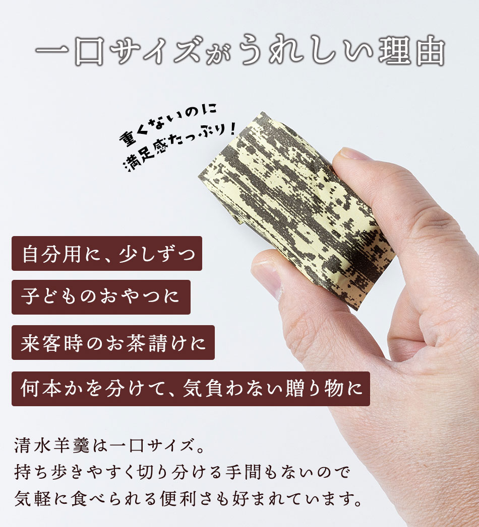 西村堂羊羹 40g×9個