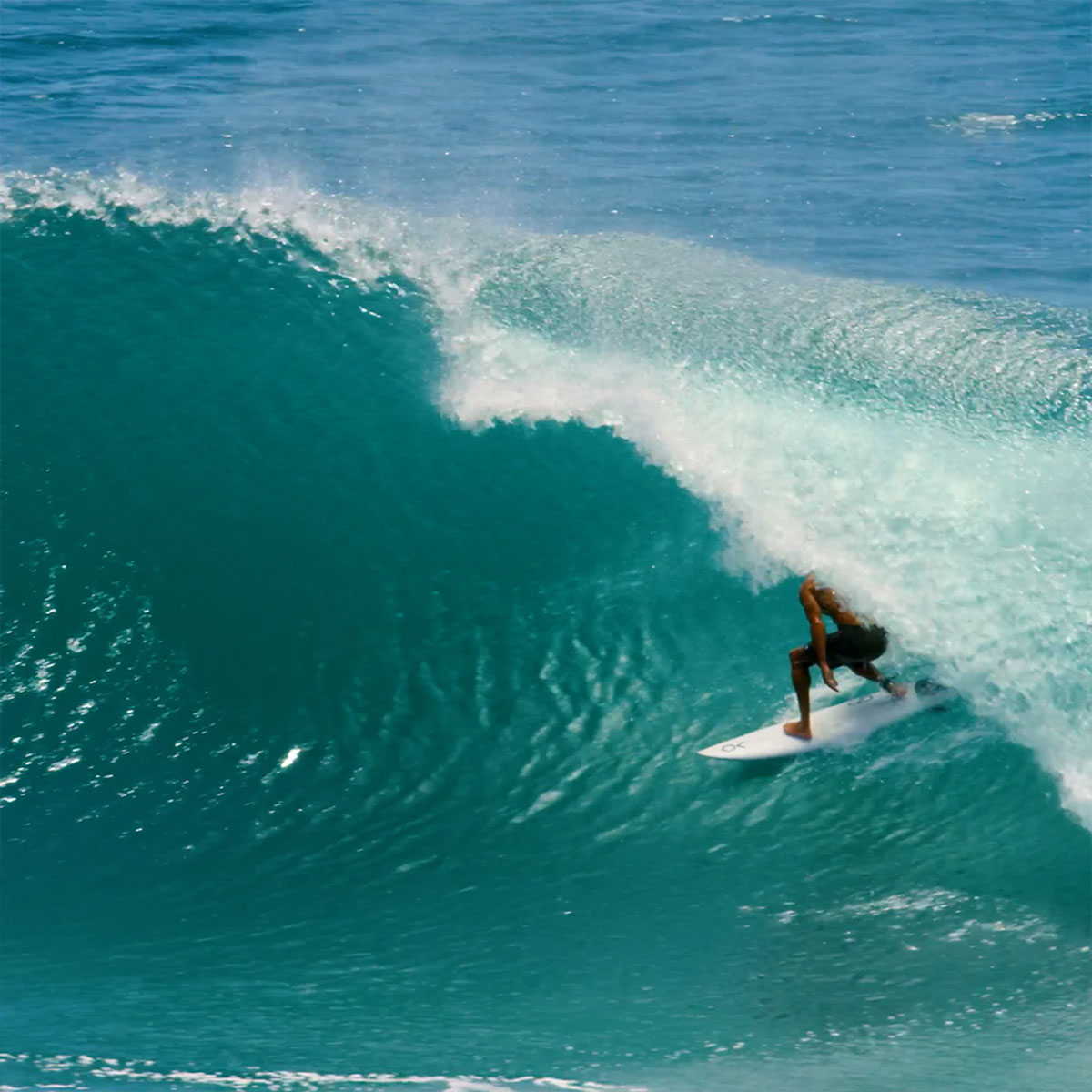 ENDORFINS エンダーフィン フィン 3フィン KSR 3FIN サーフフィン 超