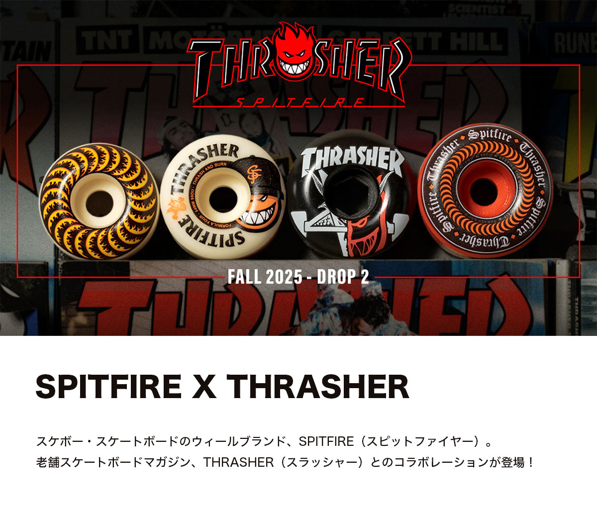 悲嘆　日FOIL 悲嘆 日FOIL 日本語版】悲嘆/Grief - アドバンテージMTG店