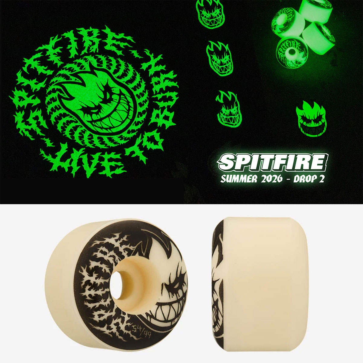 sp6s-21110412b-2.jpg