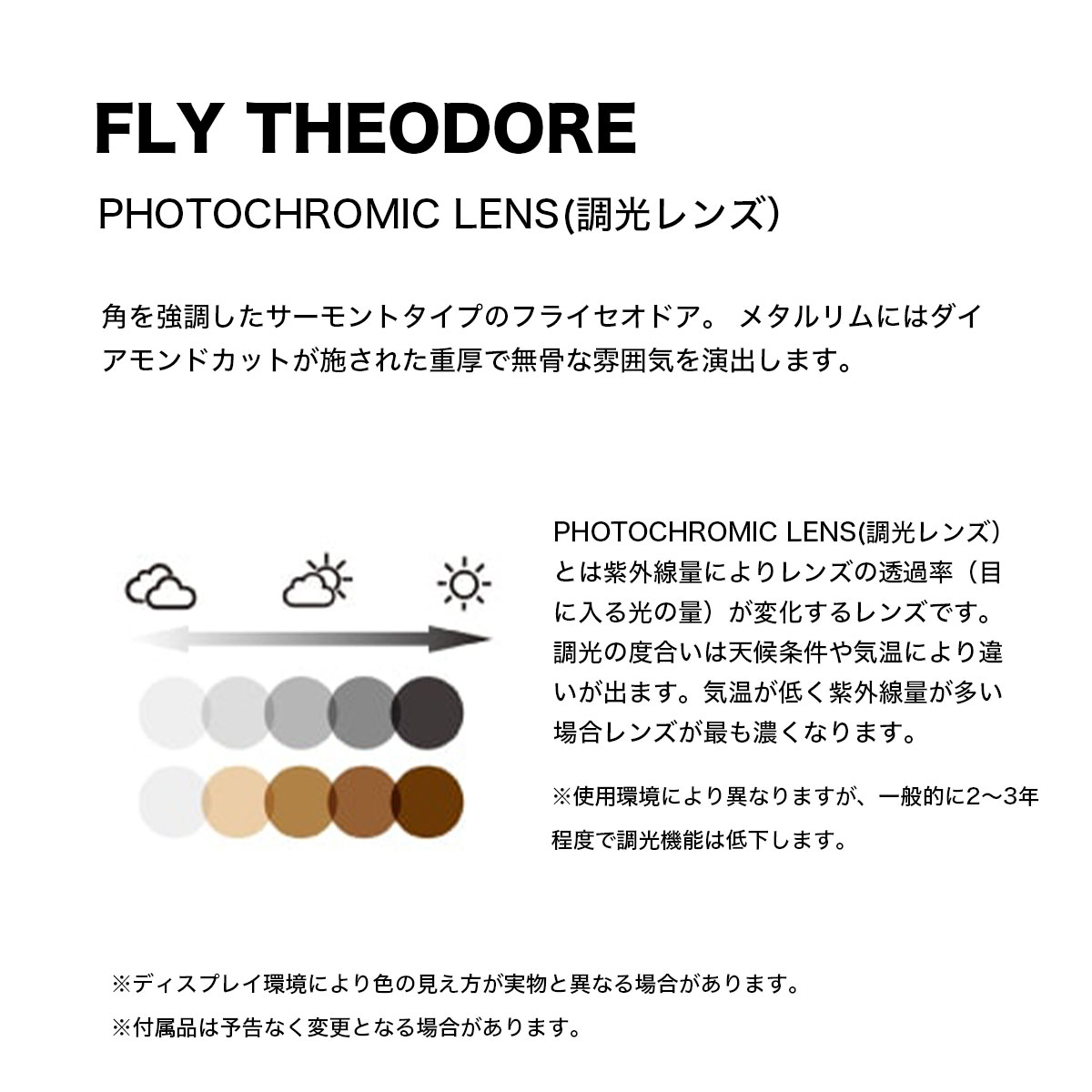 BLACK FLYS ブラックフライ サングラス フライセオドア 調光レンズ 海