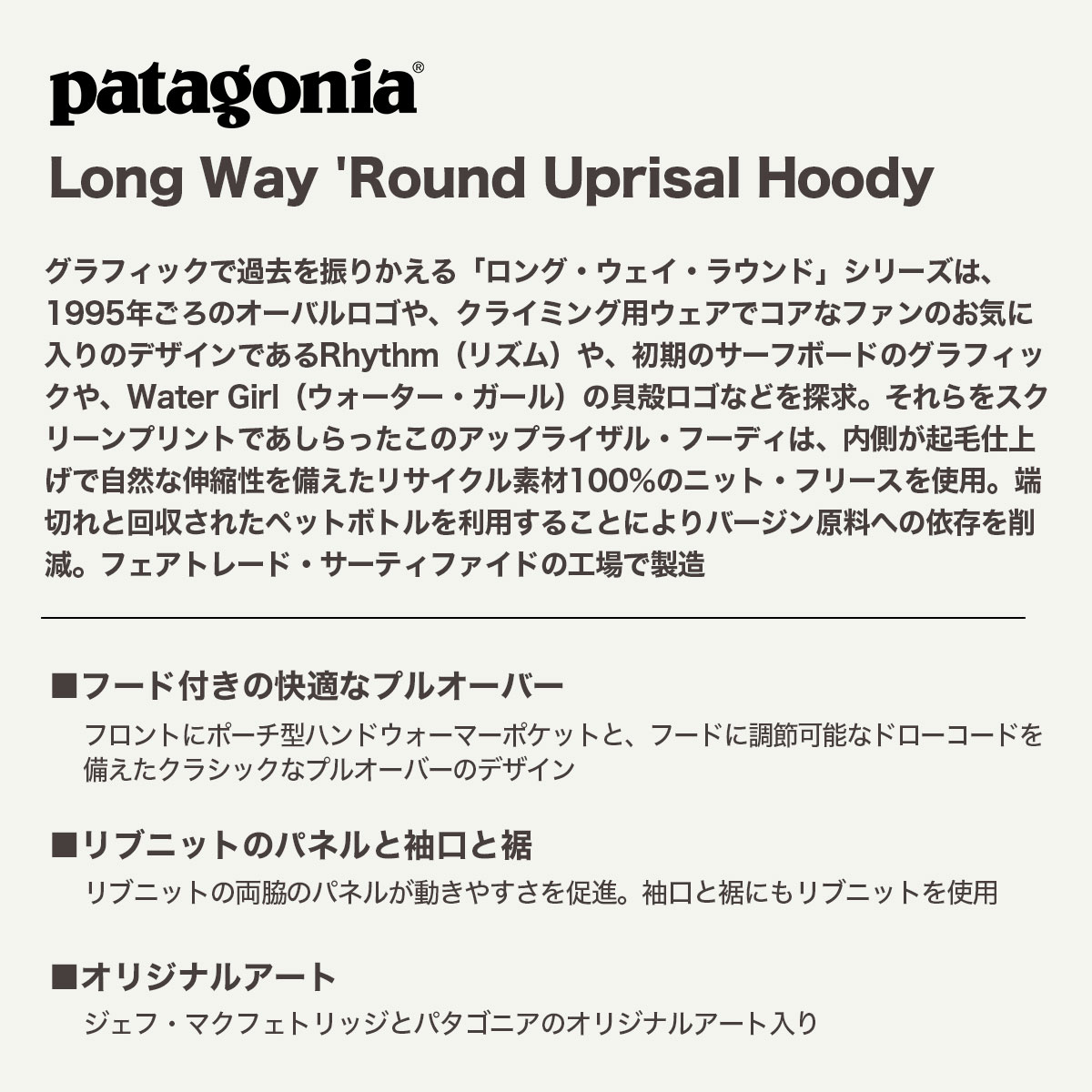 Patagonia パタゴニア フーディー スウェット パーカー ラウンドロゴ